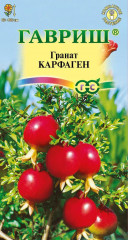 Семена. Гранат карликовый «Карфаген», 5 шт