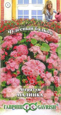 Семена. Агератум «Малинка», 0,1 г