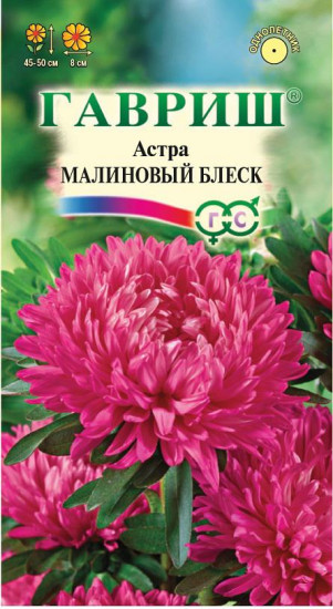 Семена. Астра «Малиновый блеск», 0,3 г