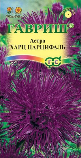 Семена. Астра «Харц Парцифаль», 0,3 г