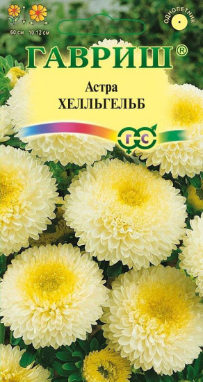 Семена. Астра «Хелльгельб», помпонная, 0,3 г