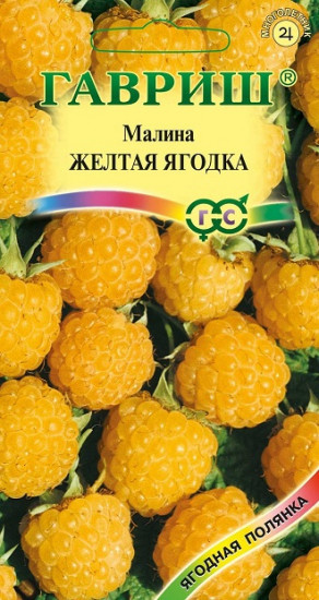 Малина «Желтая ягодка», 10 шт