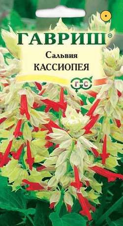 Сальвия карликовая «Кассиопея», 5 шт