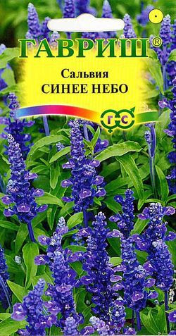 Сальвия мучнистая «Синее небо», 0,05 г