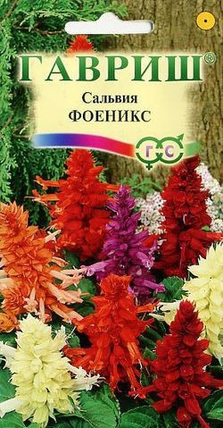 Сальвия «Феникс», смесь, 0,05 г