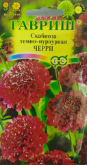 Скабиоза махровая «Черри»