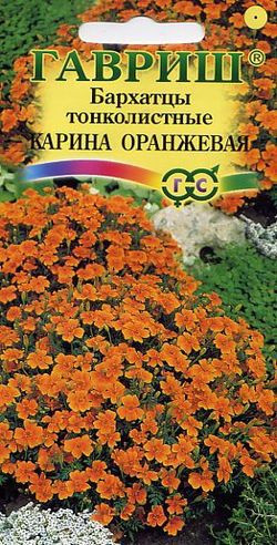 Бархатцы тонколистные «Карина оранжевая», (Тагетес), 0,3 г