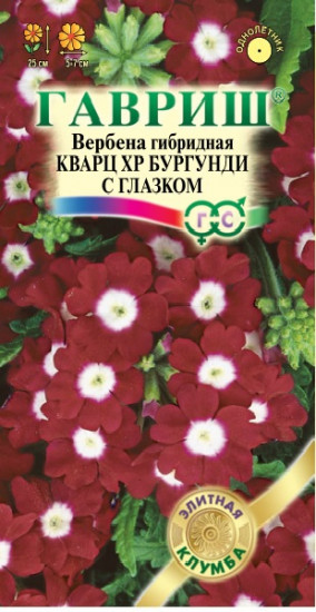 Вербена гибридная «Кварц XP Бургунди с глазком», 5 шт