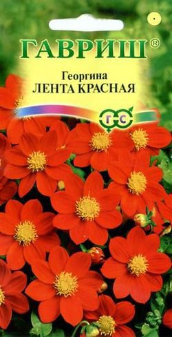 Семена. Георгина «Лента красная», 0,2 г