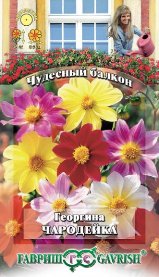 Семена. Георгина «Чародейка», (смесь), 0,3 г