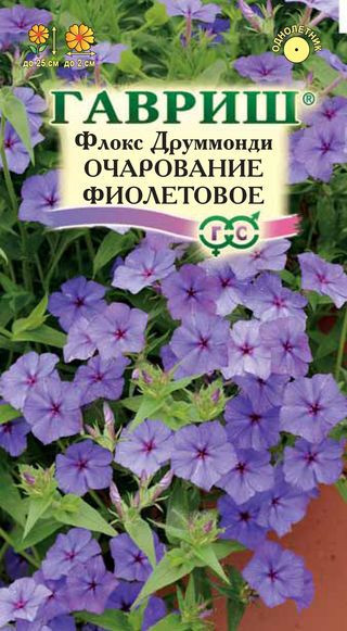 Семена. Флокс друммонди «Очарование фиолетовое», 0,05 г | Однолетник | Гавриш