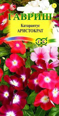 Семена. Катарантус «Аристократ», 0,01 г