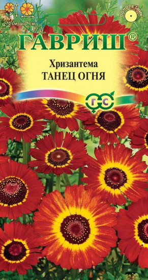 Хризантема «Танец огня», 0,5 г