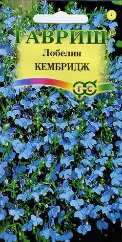 Лобелия «Кембридж», 0,01 г