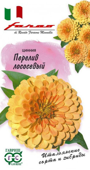 Цинния «Перелив лососевый», 6 шт