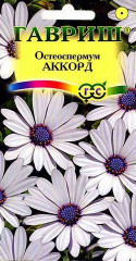 Остеоспермум «Аккорд», 0,1 г