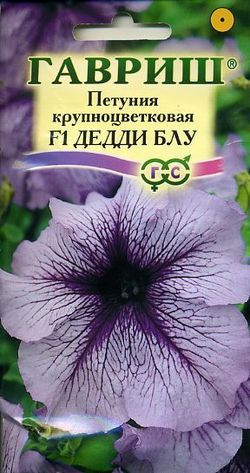 Петуния крупноцветковая «Дедди Блу F1», 10 шт