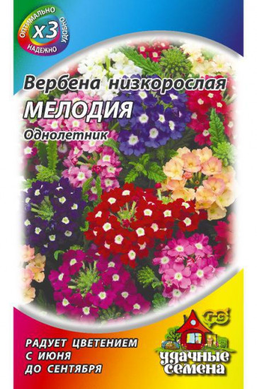 Вербена «Мелодия», гибридная смесь, 0,05 г