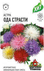 Астра игольчатая «Ода страсти», смесь, 0,2 г