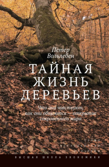 Тайная жизнь деревьев. Что они чувствуют