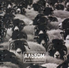 Альбом для набросков «Овцы» (80 листов)
