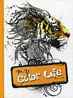 Блокнот «My color life»
