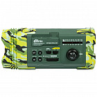 Радиоприемник портативный Ritmix RPR-707