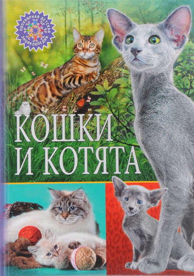 Кошки и котята