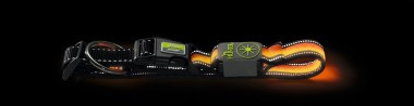 Ошейник LED для собак L (55-60 см) | Manoa Glow | Hunter