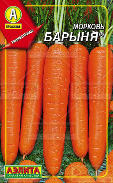 Морковь «Барыня», 300 шт