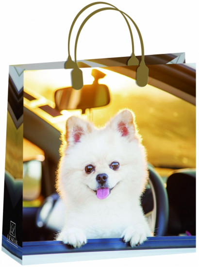 Сумка декоративная (300х300 см)