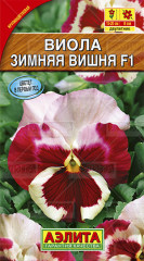 Виола «Зимняя вишня F1» 7 шт