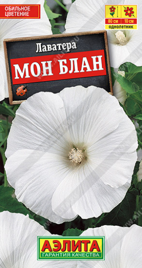 Лаватера «Мон Блан»
