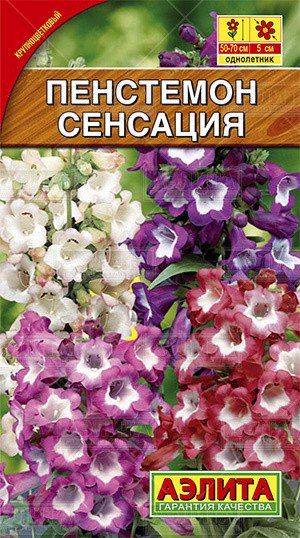Пенстемон «Сенсация» (смесь), 0,1 г