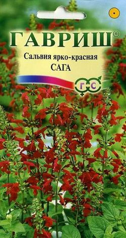 Сальвия «Сага» ярко-красная, 0,05 г