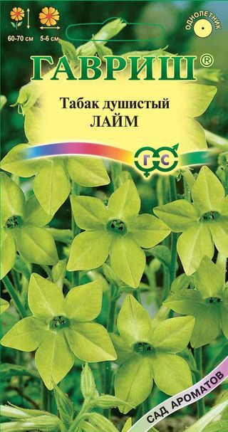Семена. Табак «Лайм» крылатый, 0,1 г | Однолетник | Гавриш
