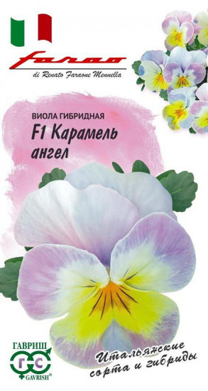 Виола гибридная «Карамель ангел F1», 10 шт