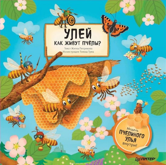 Улей. Как живут пчёлы?