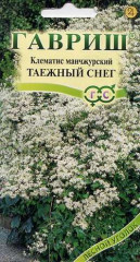 Клематис манчжурский «Таежный снег», 0,05 г