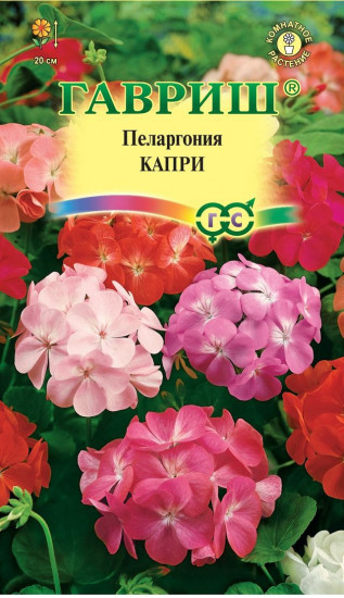 Пеларгония «Капри F2», 4 шт