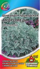 Цинерария «Андромеда», 0,1 г