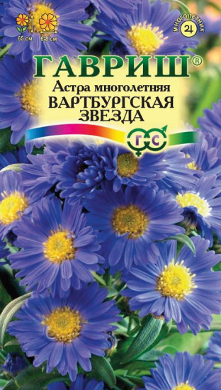 Семена. Астра «Вартбургская звезда», 0,1 г