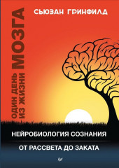 Один день из жизни мозга