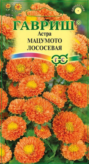 Астра «Мацумото» лососевая, 0,3 г