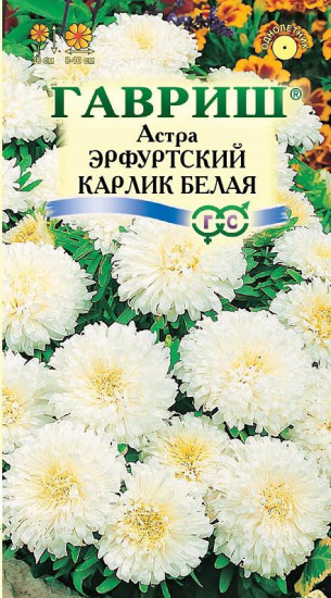 Астра «Эрфуртский карлик», белая, 0,3 г