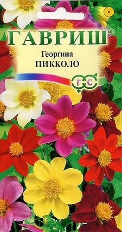 Семена. Георгина «Пикколо», 0,3 г