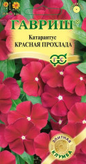 Катарантус «Красная прохлада», 7 шт
