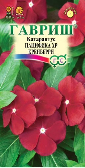 Катарантус «Пацифика Кренберри», 7 шт