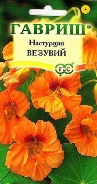 Семена. Настурция «Везувий», 1 г | Однолетние цветы (Гавриш) | Гавриш