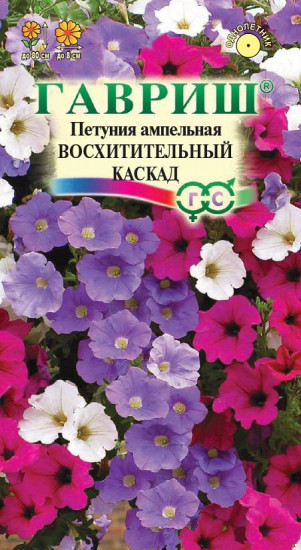 Петуния «Восхитительный каскад»